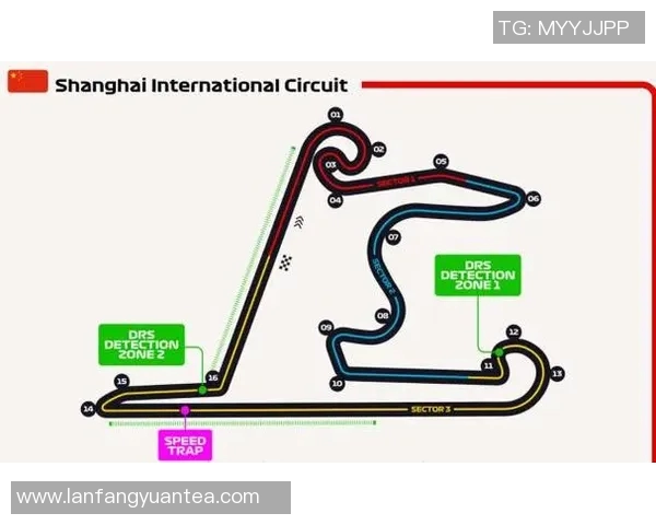 F1赛季车队协作与赛道表现关系